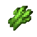Sugar Cane