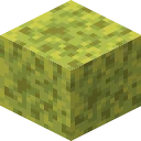 Wet Sponge